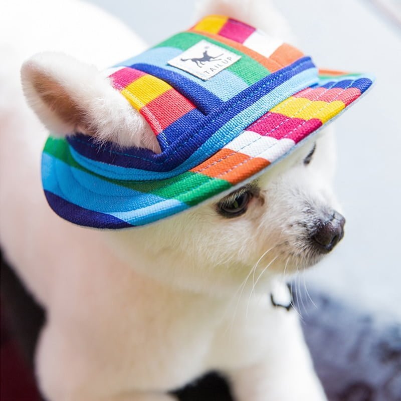 Vissershoedje voor Honden - Afbeelding 3