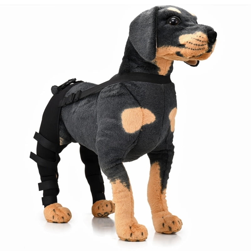 Heupbrace/kniebrace voor Honden - Afbeelding 3