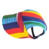 Regenboog