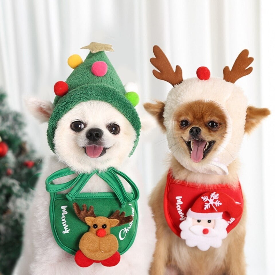 Kerstmuts en Slabbetje voor Kleine Honden en Katten