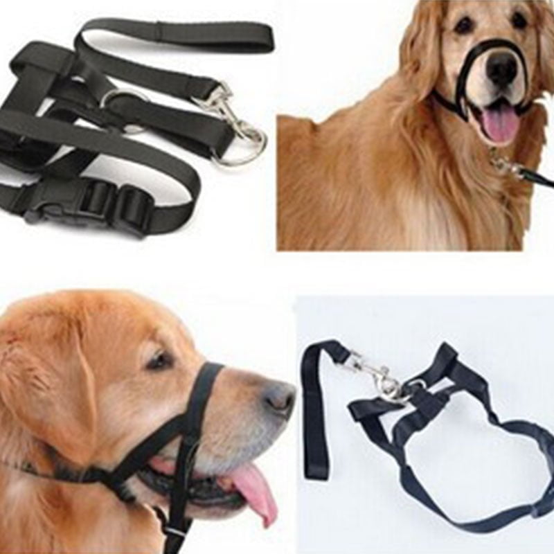 Neusband / Hoofdhalsband / Gentle Leader voor Honden - Neem controle over uw dier - Afbeelding 3