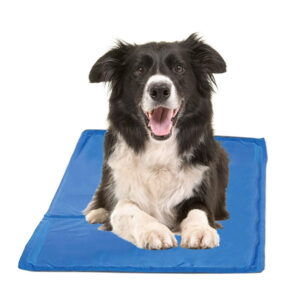 Verkoelende Gelmat voor Honden