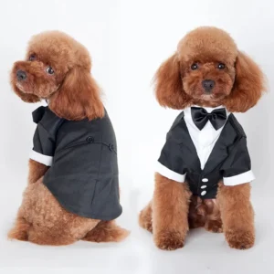 Smoking voor Honden - Hondenkostuum