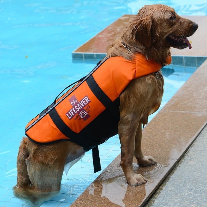 Dog Lifesaver - Reddingsvest voor honden - Afbeelding 8