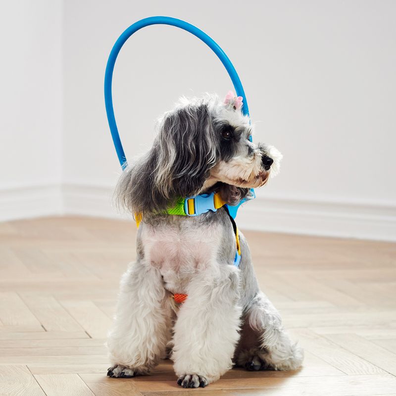 Anti Stoot ring voor Honden & Katten - voor Blinde en Slechtziende Dieren - Afbeelding 7