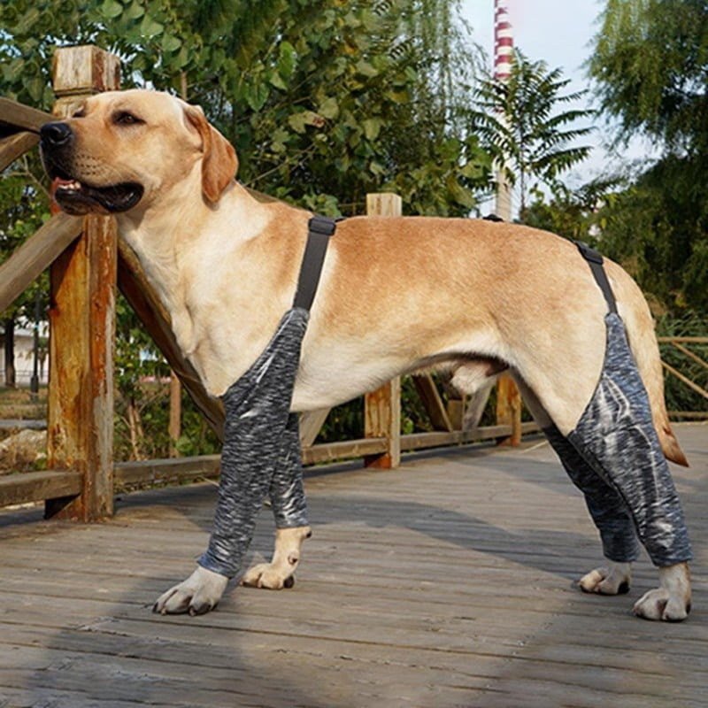Pootmouw voor Honden - Voor -en achterpoten - Afbeelding 5