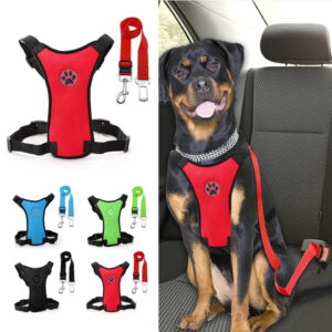 Autogordel met Veiligheidsharnas voor Honden