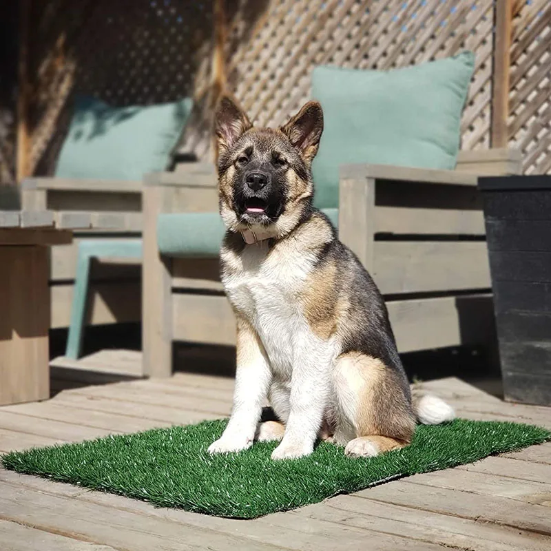 Kunstgras Mat voor Honden - Afbeelding 2