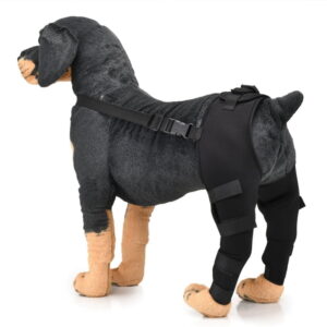Heupbrace/kniebrace voor Honden