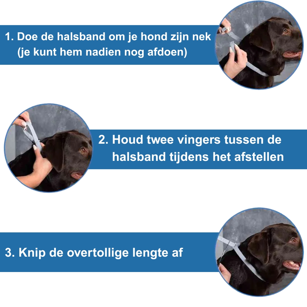 Beile Vlooien- en Tekenband - Afbeelding 6
