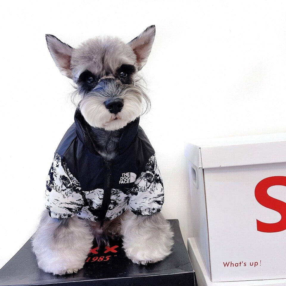 The Dog Face Tidal Wave Jacket (Limited Edition) - Afbeelding 4