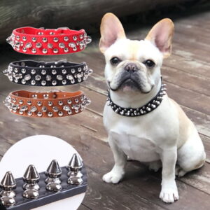 Leren Halsband met Spikes
