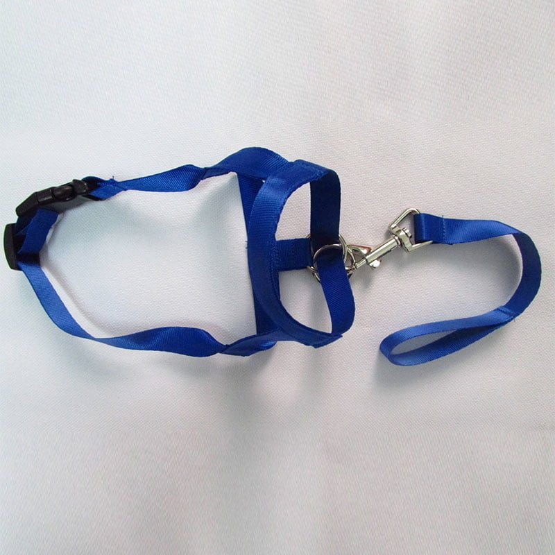Neusband / Hoofdhalsband / Gentle Leader voor Honden - Neem controle over uw dier - Afbeelding 7