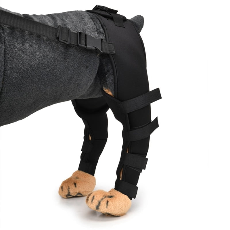 Heupbrace/kniebrace voor Honden - Afbeelding 5