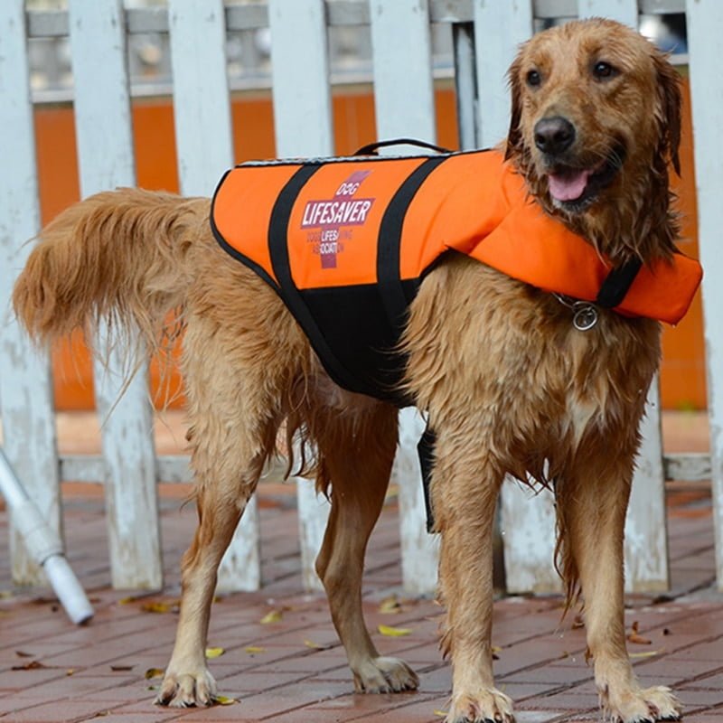 Dog Lifesaver - Reddingsvest voor honden