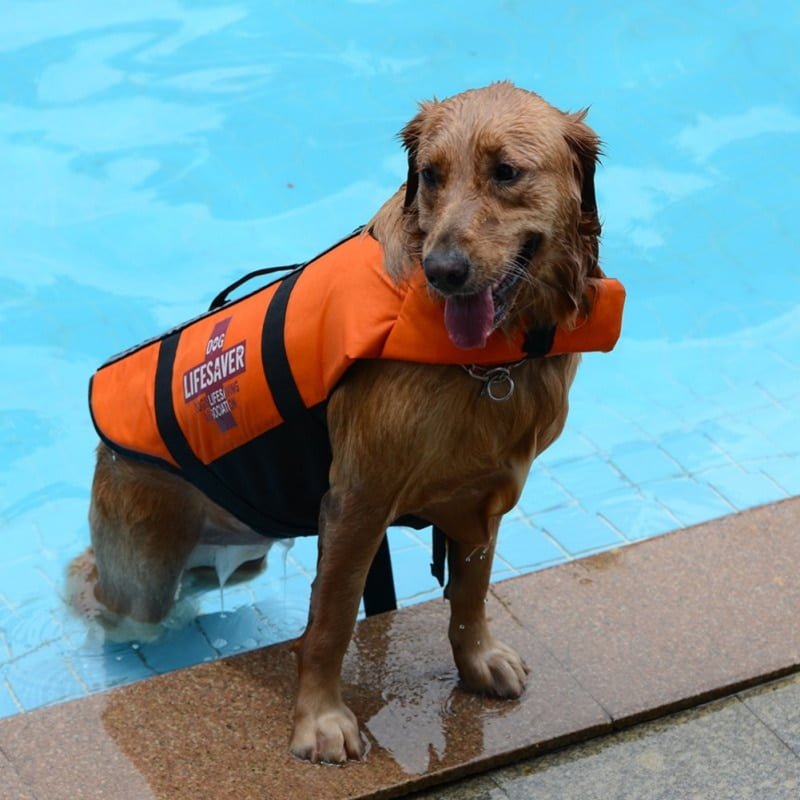 Dog Lifesaver - Reddingsvest voor honden - Afbeelding 6