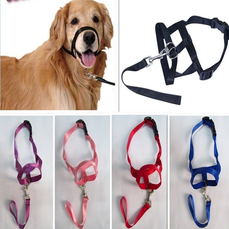 Neusband / Hoofdhalsband / Gentle Leader voor Honden - Neem controle over uw dier
