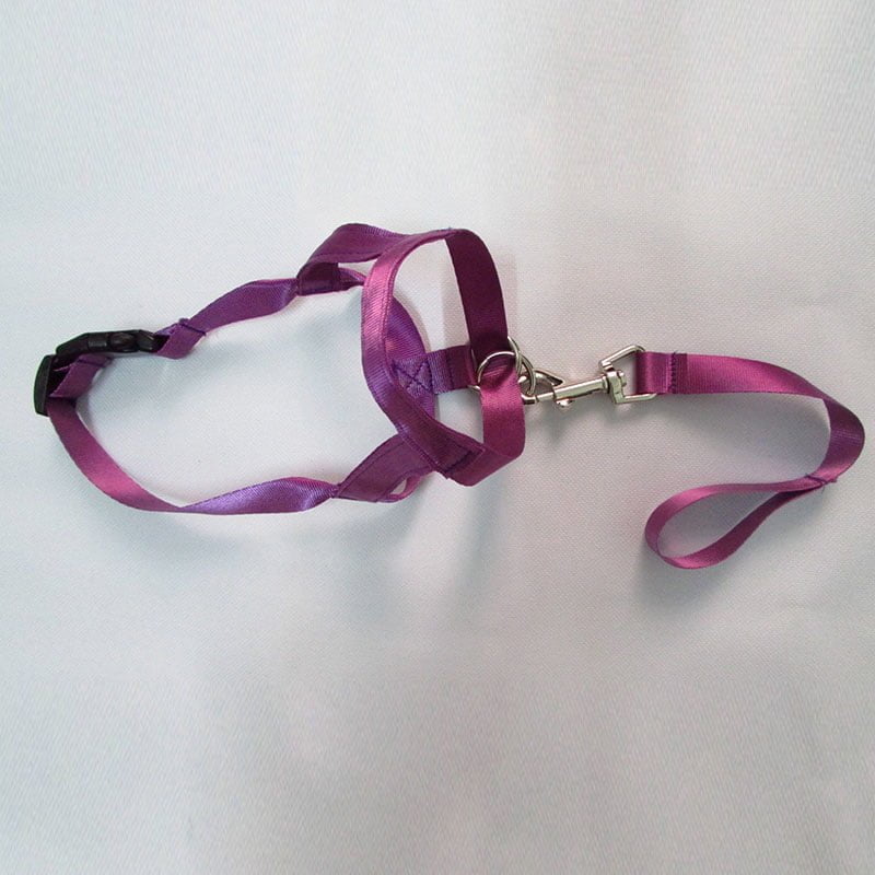 Neusband / Hoofdhalsband / Gentle Leader voor Honden - Neem controle over uw dier - Afbeelding 8