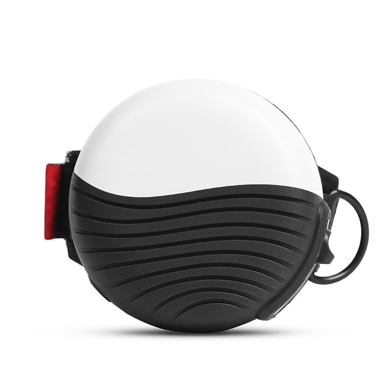 Handsfree Rollijn voor Honden - Afbeelding 5