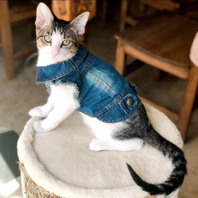 Denim Jacket voor Katten - Afbeelding 2