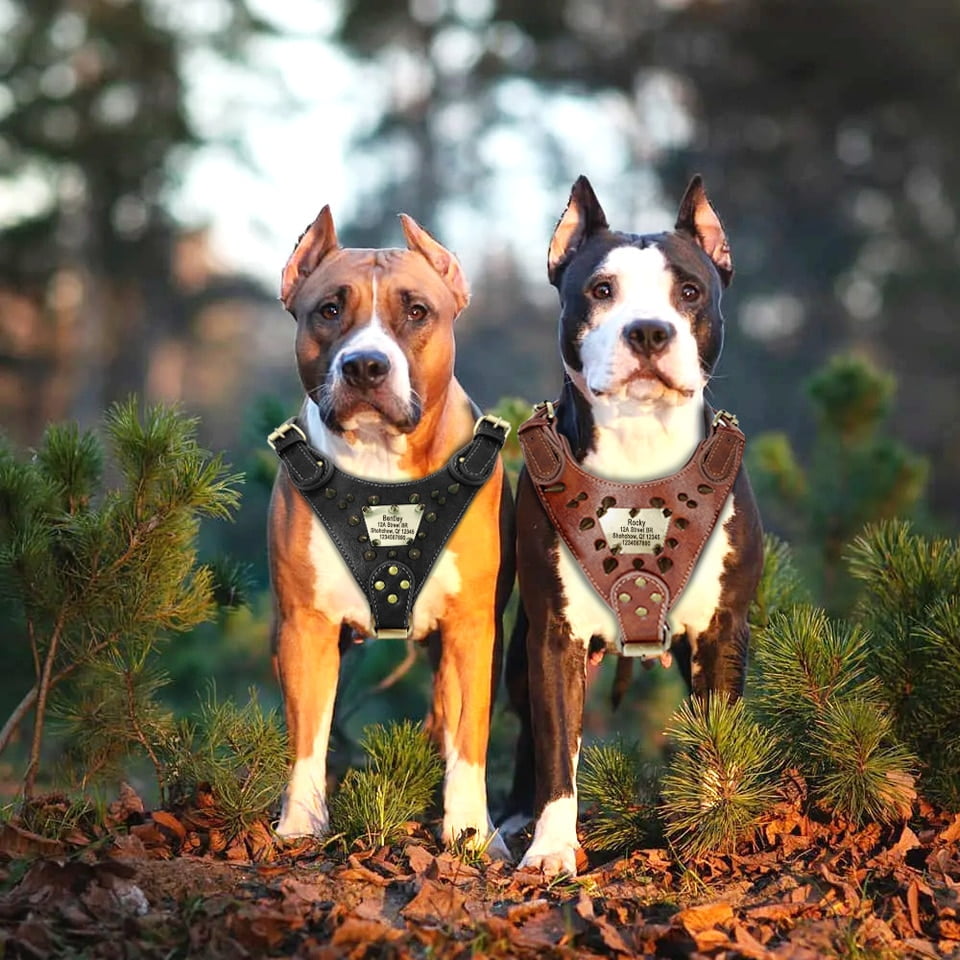 Heavy Duty Hondenharnas - Voor Extreem sterke honden - Met Gravure - Afbeelding 3
