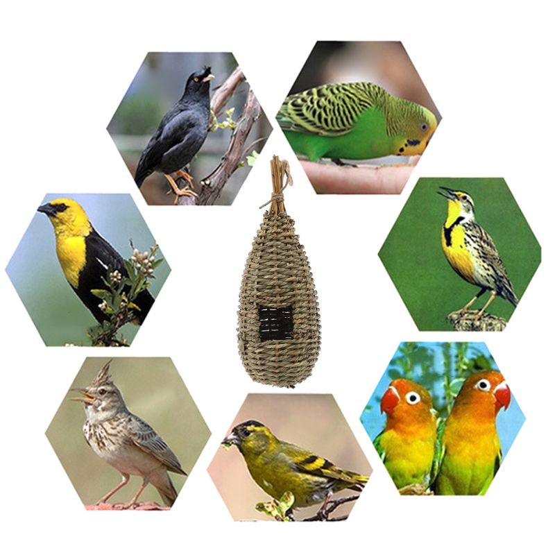 Gevlochten Vogelhuis - Afbeelding 6