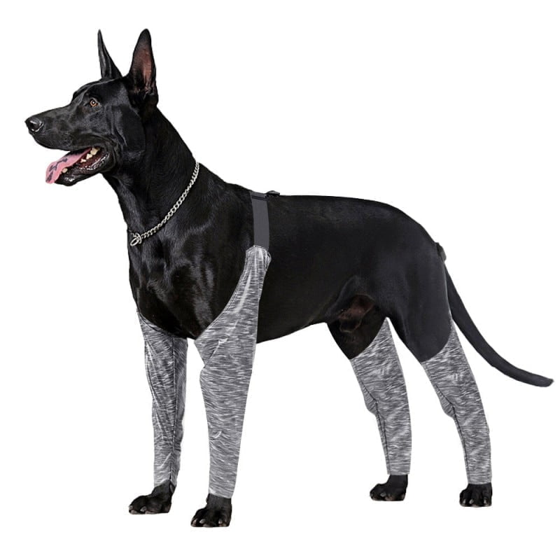 Pootmouw voor Honden - Voor -en achterpoten - Afbeelding 4
