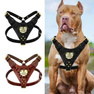 Heavy Duty Hondenharnas - Voor Extreem sterke honden - Met Gravure