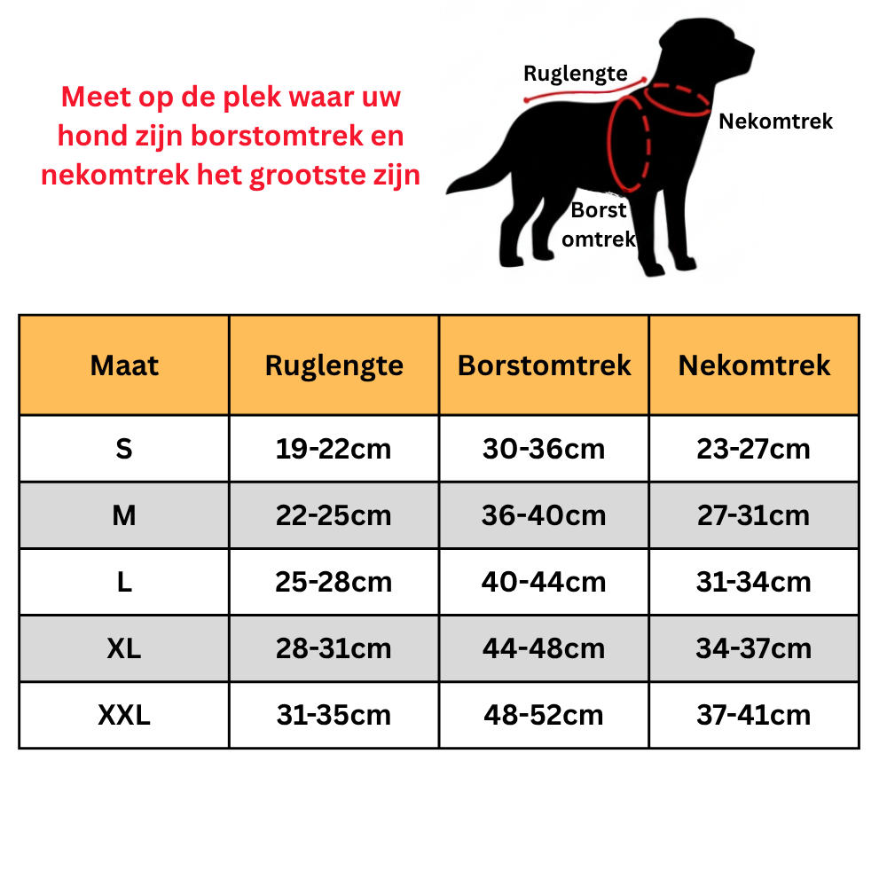Hondenjas waterproof - Afbeelding 2