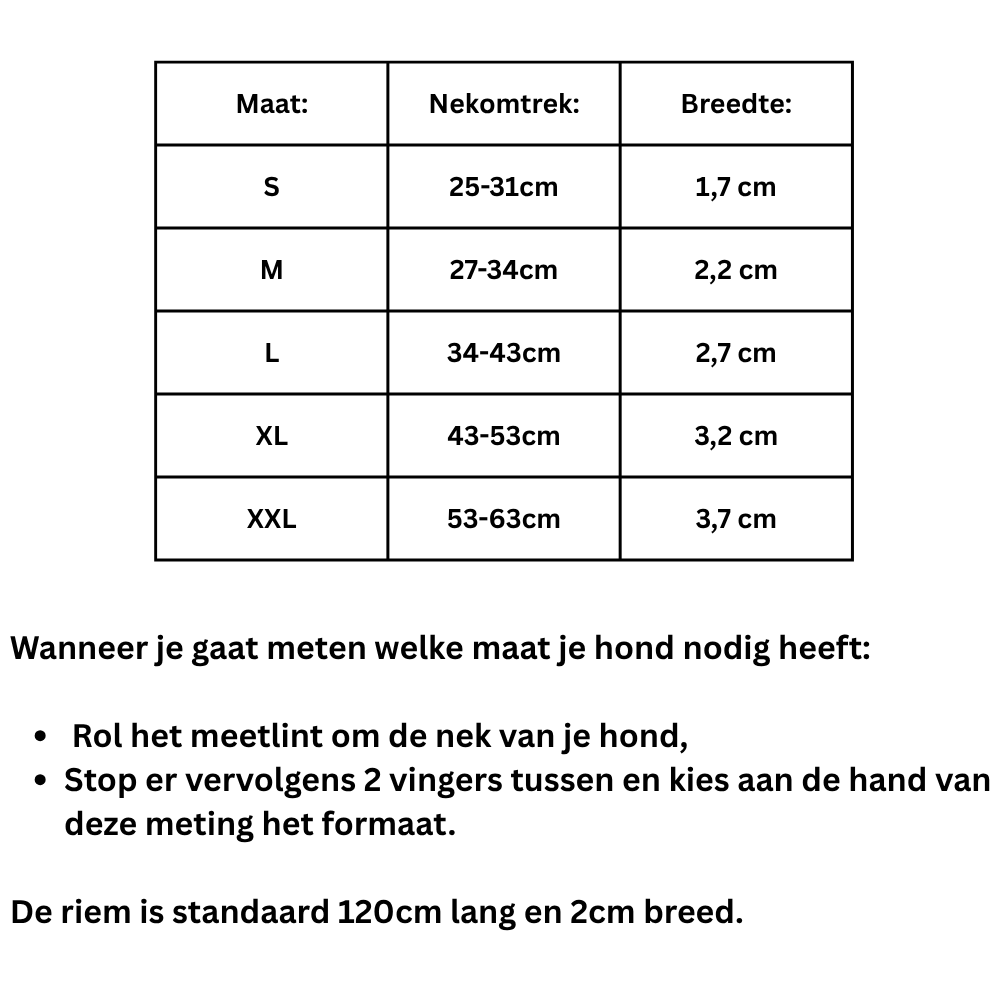 Halsband met naam voor honden - Afbeelding 2