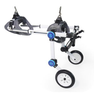 Rolstoel voor Honden - Rolling Pet Pro