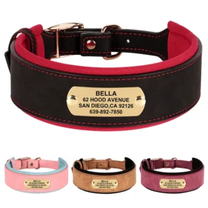 Brede Hondenhalsband - Gepersonaliseerd met Naam