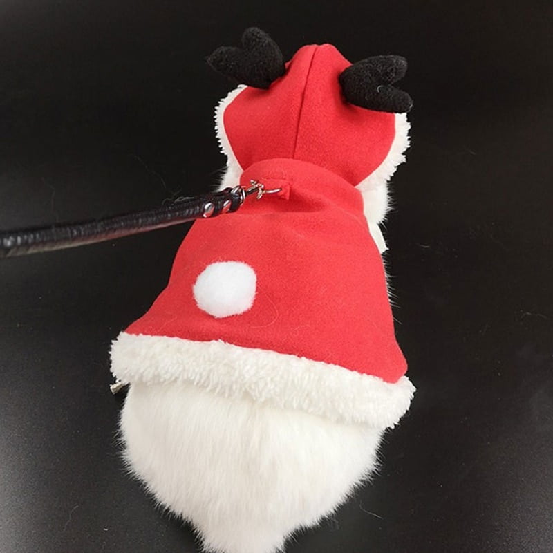 Kersttuigje voor Konijnen + Riem