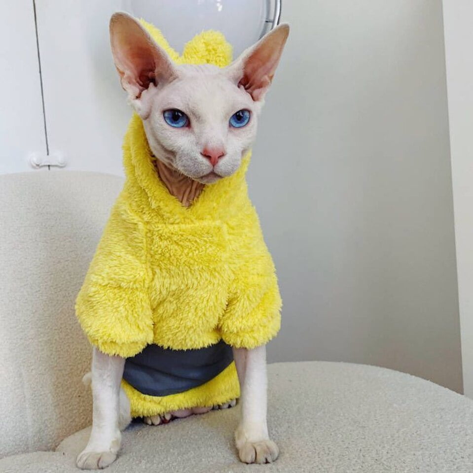 Teletubbie Hoodie voor Katten - Afbeelding 2