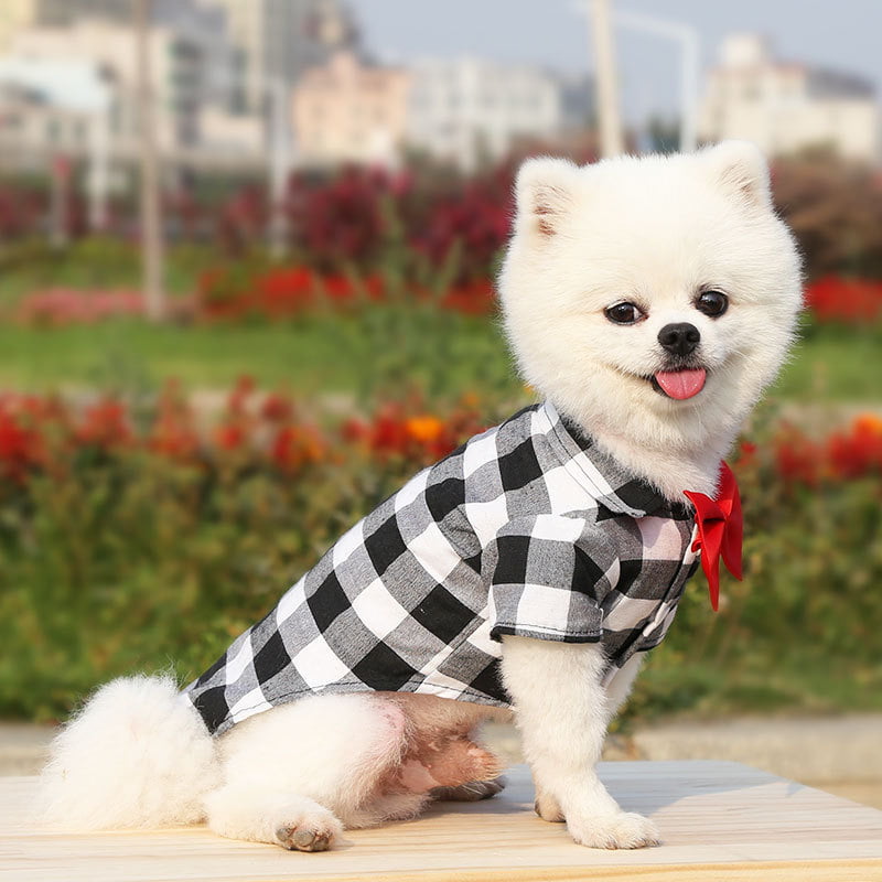 Blouse met Strik voor Honden - Afbeelding 3