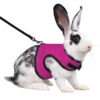 Donker roze