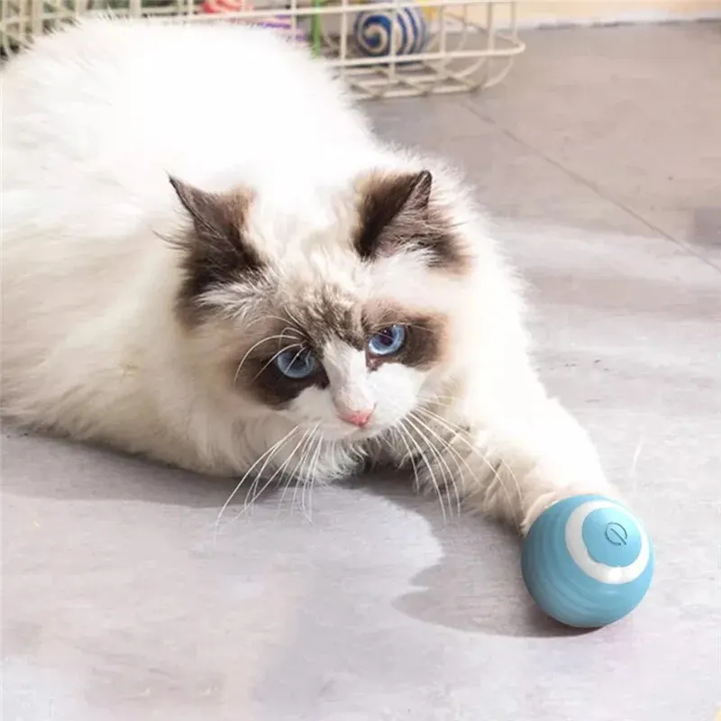 Interactieve Kattenbal - Urenlang Speelplezier - Afbeelding 2