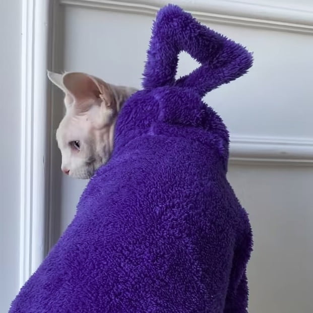 Teletubbie Hoodie voor Katten - Afbeelding 5