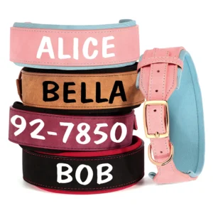 Brede Halsband voor Honden - Bedrukt met Naam