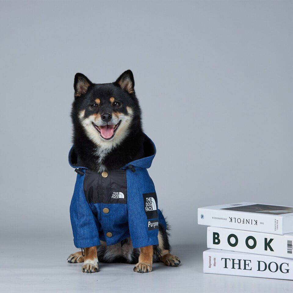 The Dog Face Denim Jacket - Afbeelding 4