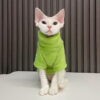 Groen