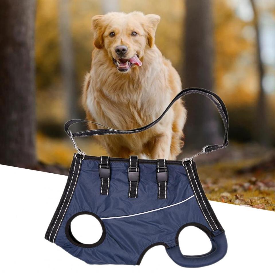 Draagharnas/Tilharnas voor Honden - Afbeelding 5