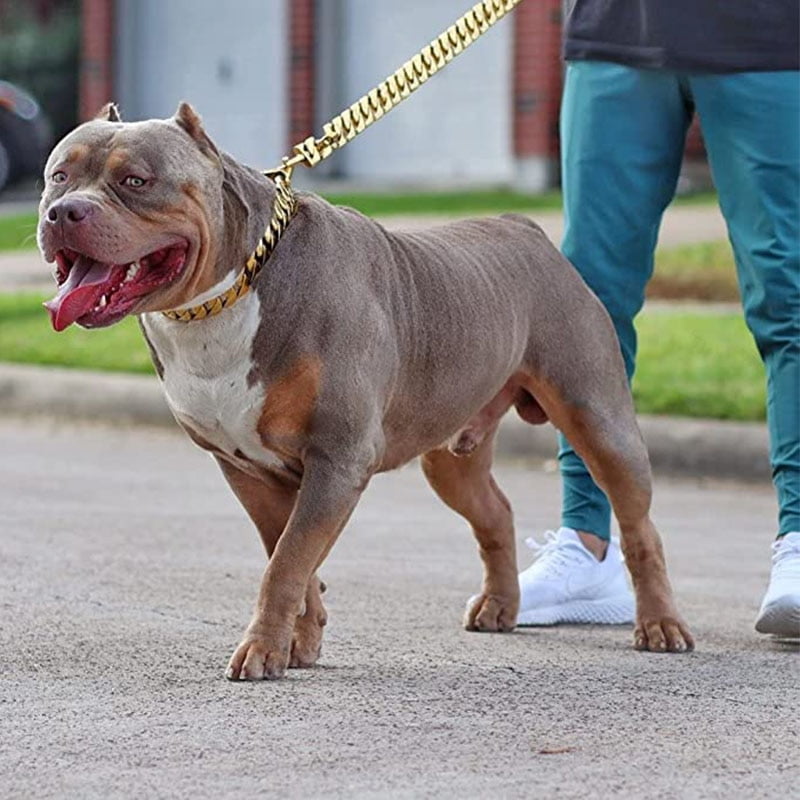 Heavy Duty Cuban Link Halsband Voor Honden - 3.2cm breed - Afbeelding 4