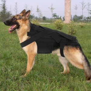 Rug Brace voor Honden