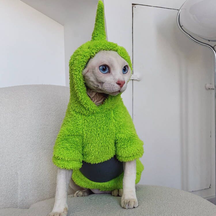 Teletubbie Hoodie voor Katten - Afbeelding 3
