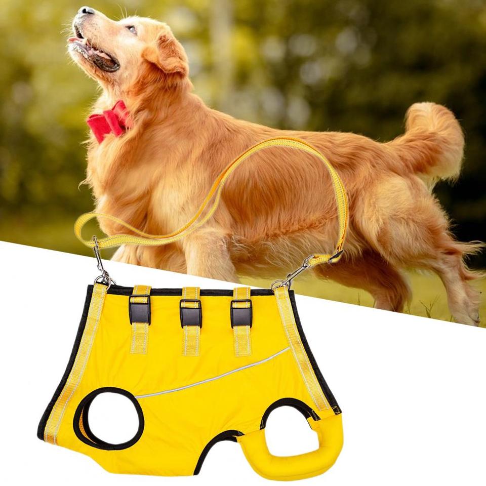 Draagharnas/Tilharnas voor Honden - Afbeelding 4