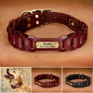 Lederen Halsband voor Honden - met Naam