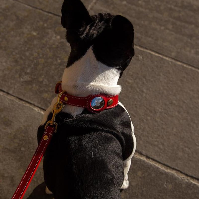Leren Apple AirTag Halsband voor Honden - Afbeelding 5