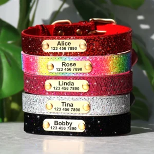 Glitter Halsband voor Honden - Gegraveerd met Naam