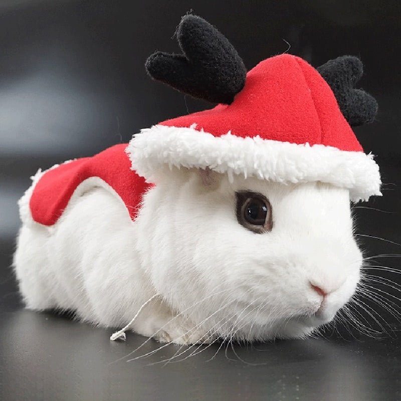 Kersttuigje voor Konijnen + Riem - Afbeelding 6